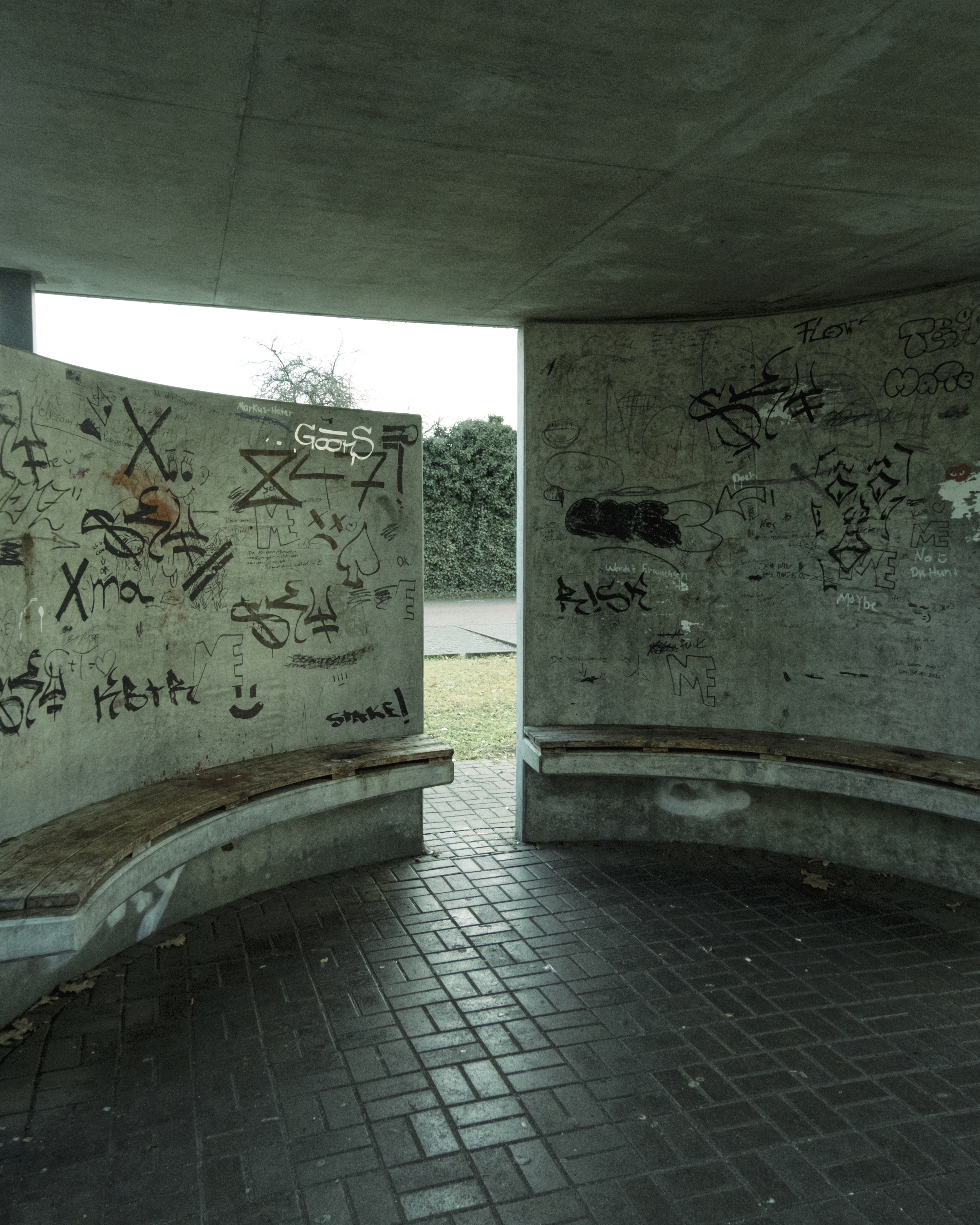 dmag 2